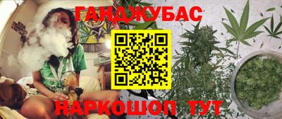 крисы Гусиноозёрск