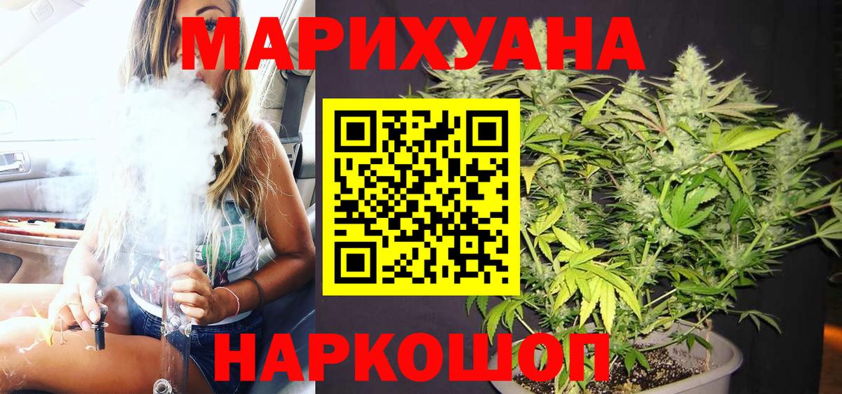 Канабис планчик Лесной